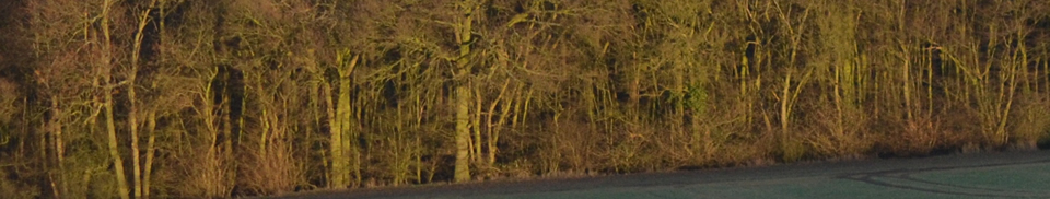 Acorn Arboriculture and Forestry Consultancy Services Acorn Arboriculture and Forestry Consultancy Services